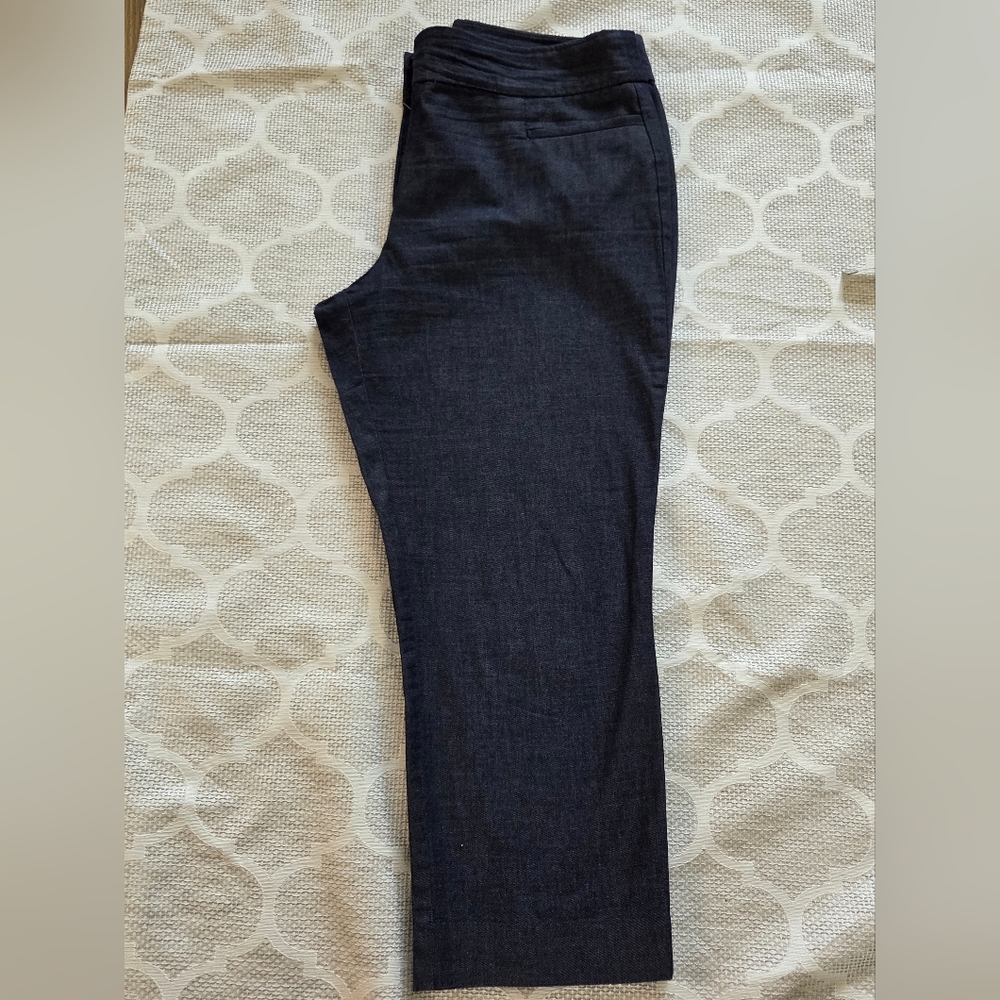 Ann Taylor Blue Capris Pants